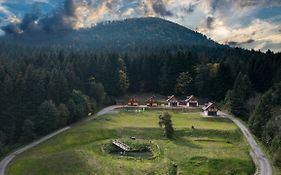 Domki w Kasinie